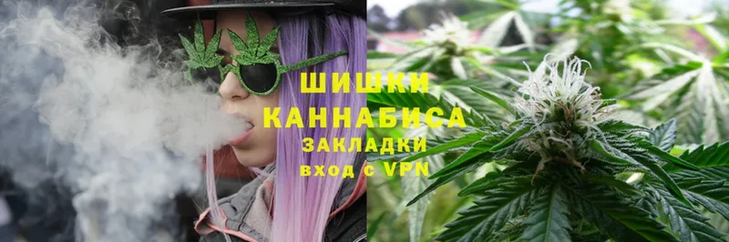 где продают наркотики  Алексин  Бошки Шишки SATIVA & INDICA 